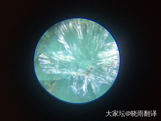 雪梅花_瓷器