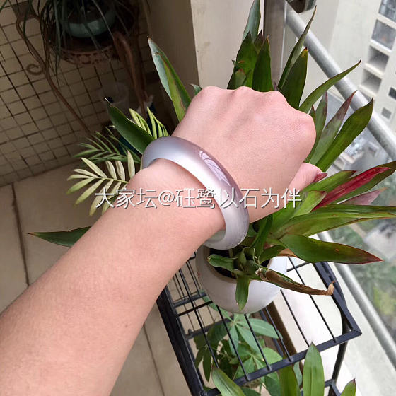 你们喜欢这样的荧光镯子吗😊_玉髓玛瑙