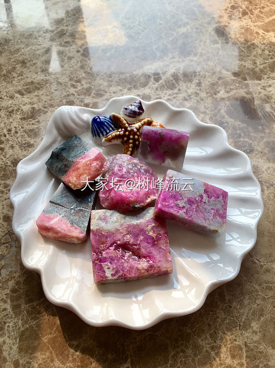 意境樱花_舒俱来