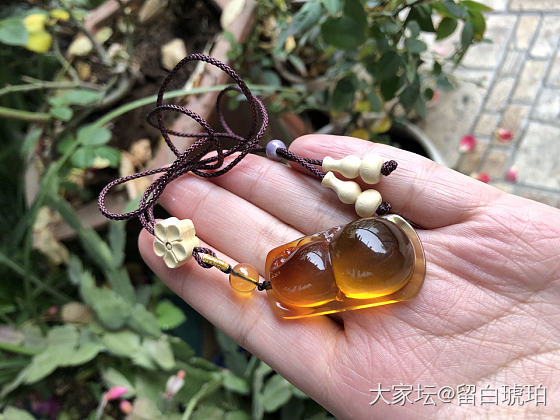 福禄双全_琥珀蜜蜡