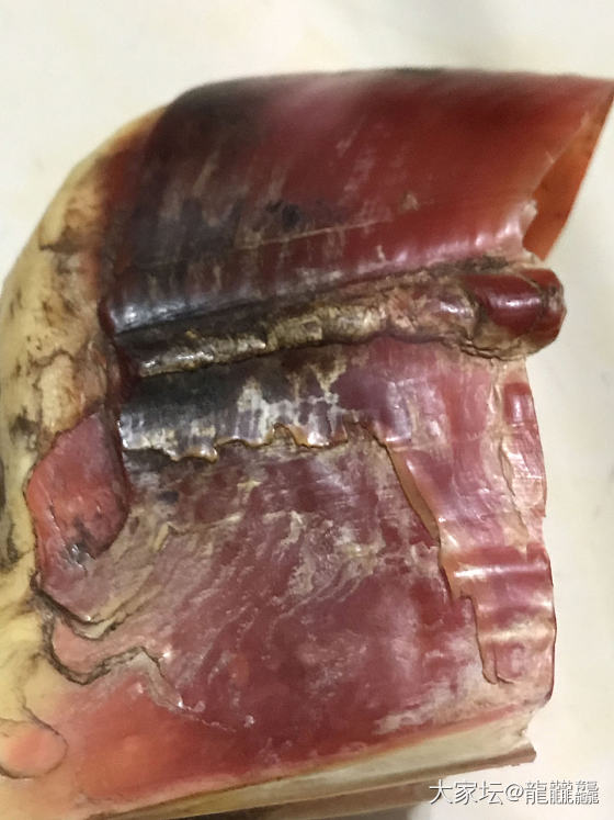 拒绝血腥文玩，从你我做起！