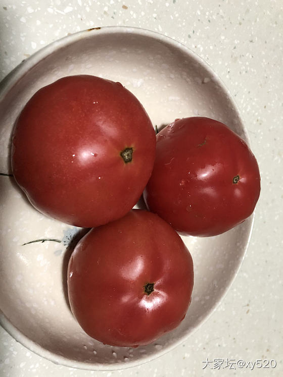 西红柿🍅_水果