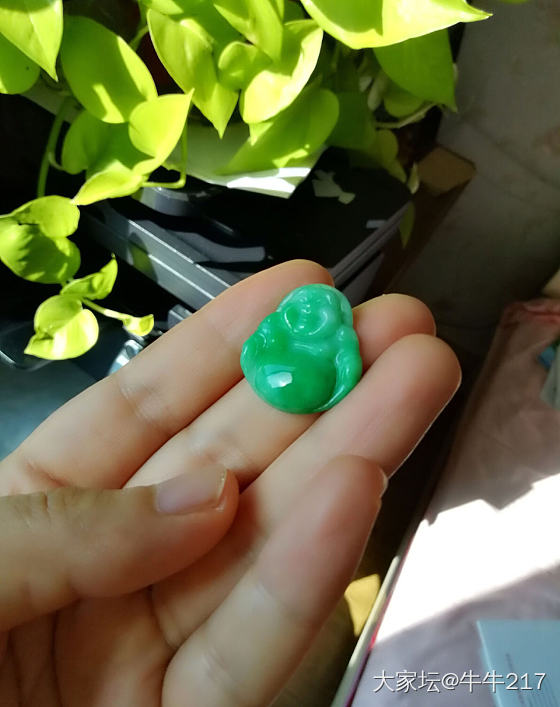 欢迎大咖们指点迷津_翡翠