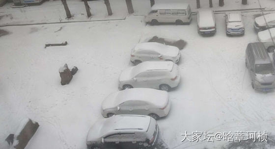 塞翁失马焉知非福
今天东北终于下了一天的大雪，厚度我估计已经到20厘米深了。我一..._银