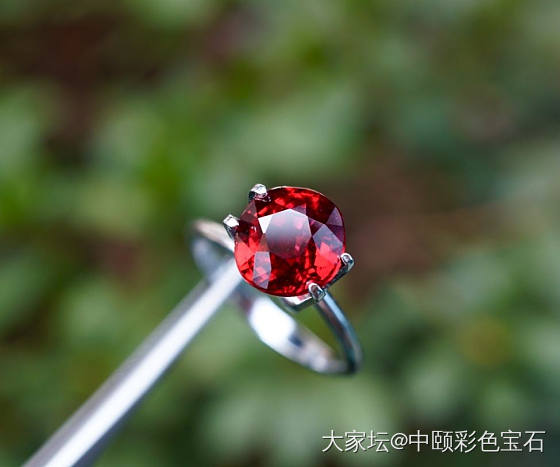 ##中颐天然未加热鸽血红红宝石## 4.04ct  GRS证书_刻面宝石红宝石名贵宝石