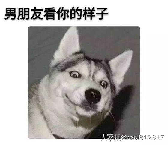 你们的男盆友是这样的吗？_贴图