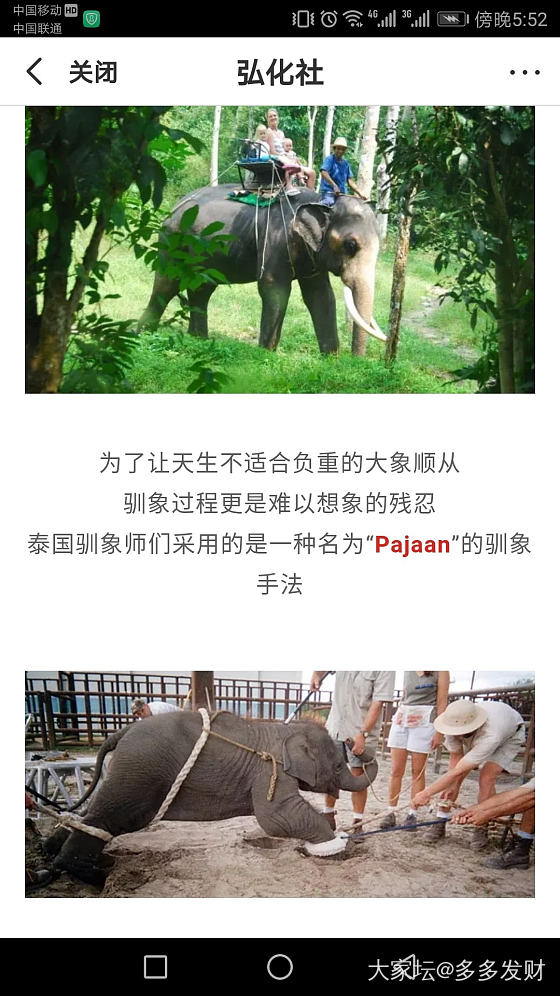 如果去泰国，拜托不要看任何，人组织和经营的大象表演啊……_泰国大象旅游