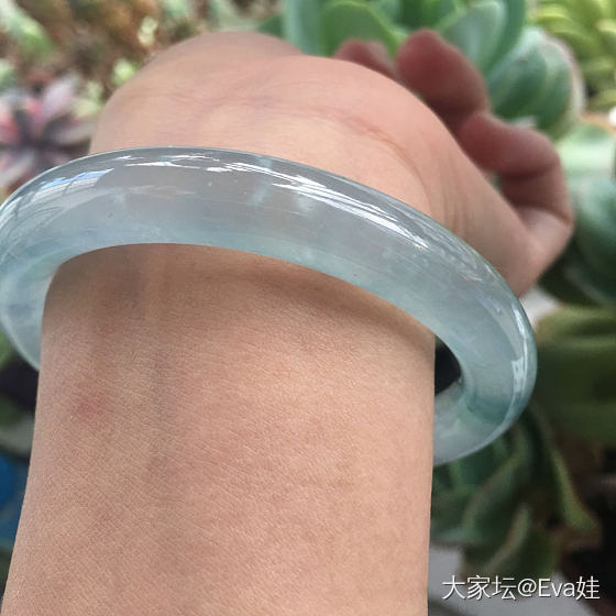 能看出是一只吗_翡翠