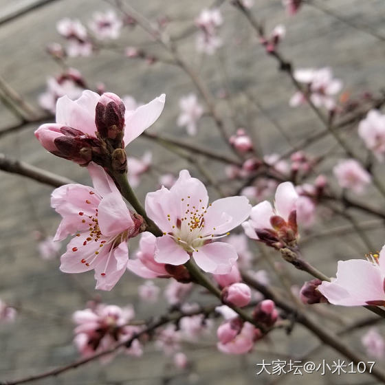 春暖花开也秀秀我的宝贝_手镯和田玉