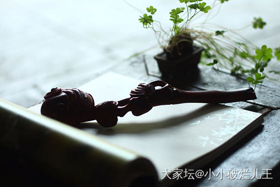 秀一波儿_文玩