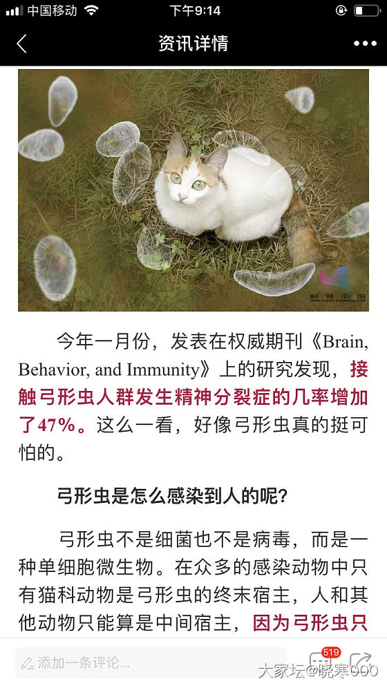 科普站发了个养猫容易的精神分裂，😂_闲聊