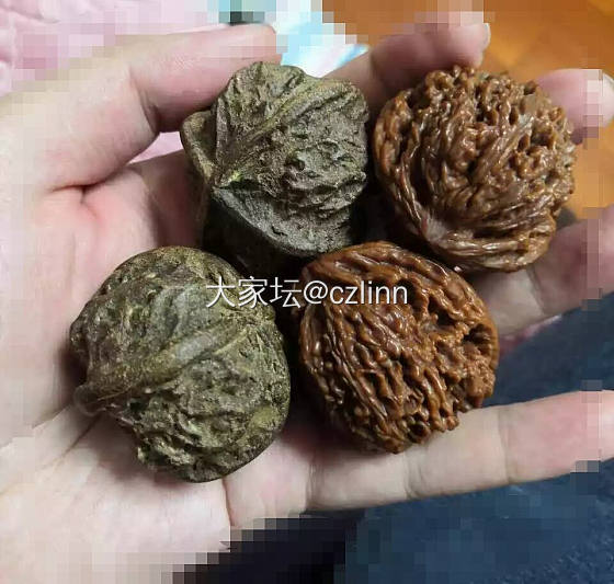 玩玩合香塑_核桃