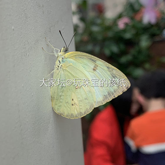 自然美！生命长河～_珠串紫水晶