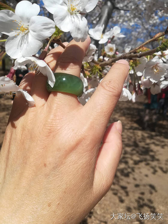 美艳的碧玉圈戒_戒指和田玉