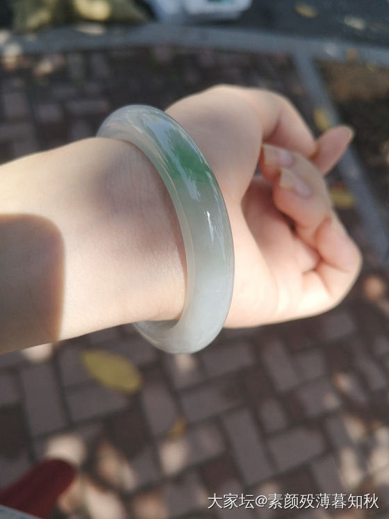 胖的像圆条的平安_手镯翡翠