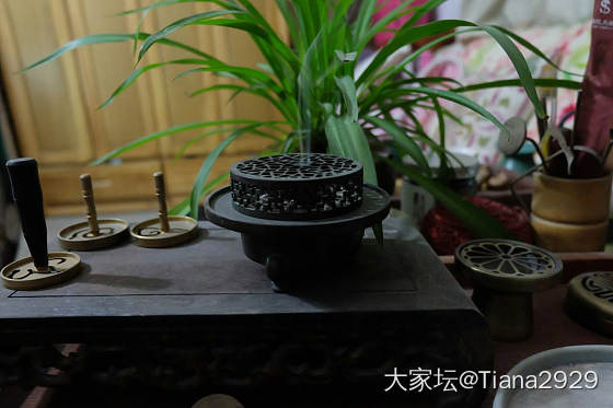 心若向阳，无惧悲伤。_香道