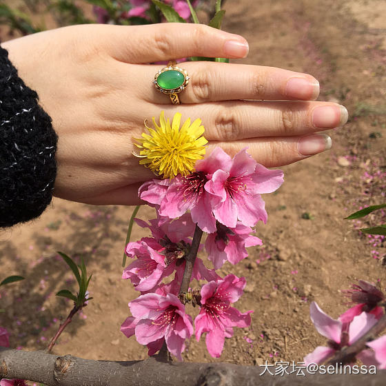 春风一度十里桃花_戒指翡翠