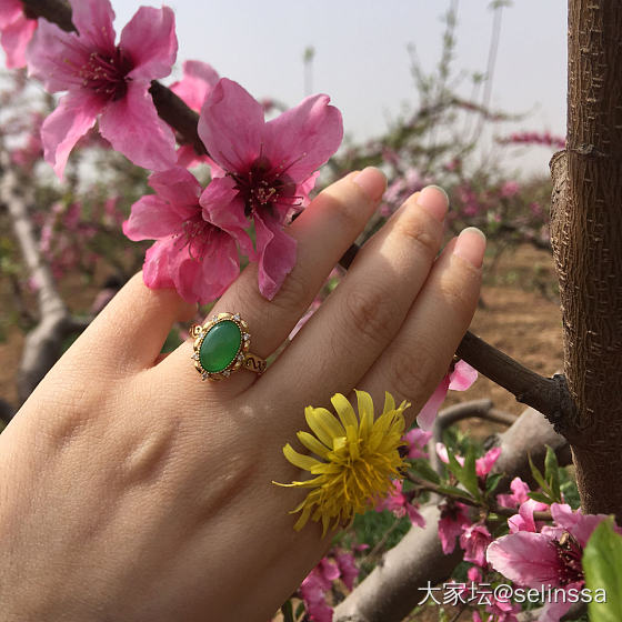 春风一度十里桃花_戒指翡翠