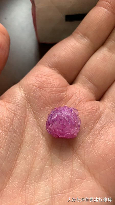 纠结轮_舒俱来