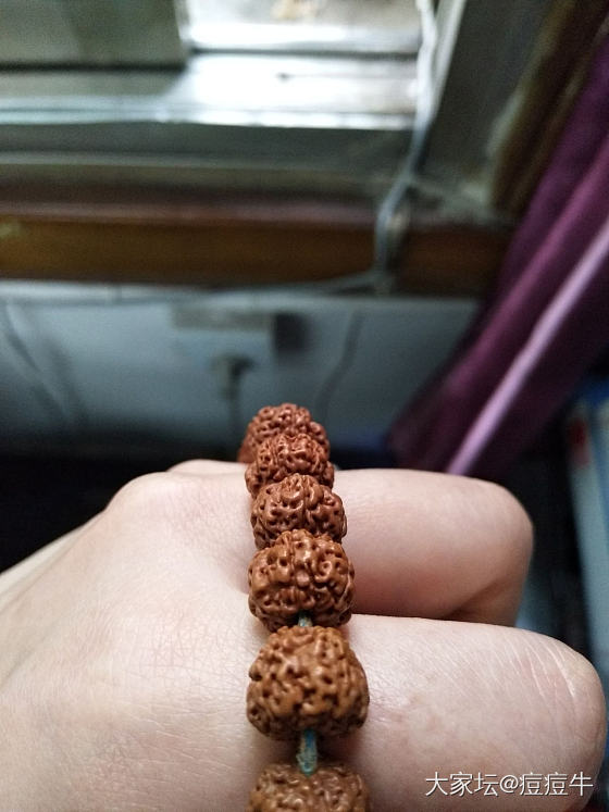 盘了快一年的金刚，进展不大呀！_珠串菩提子