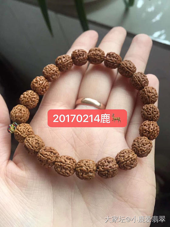 盘了快一年的金刚，进展不大呀！_珠串菩提子