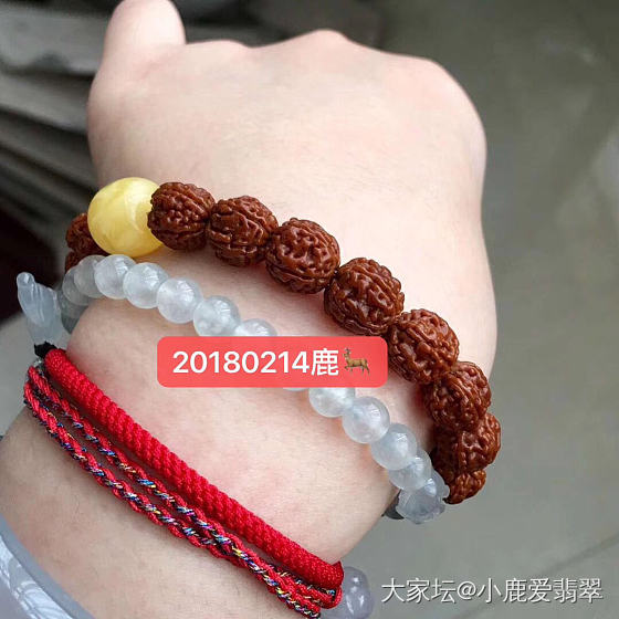 盘了快一年的金刚，进展不大呀！_珠串菩提子