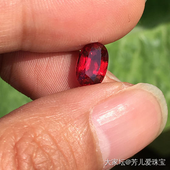 玻璃体和奶提，大家更能接受哪一种_红宝石