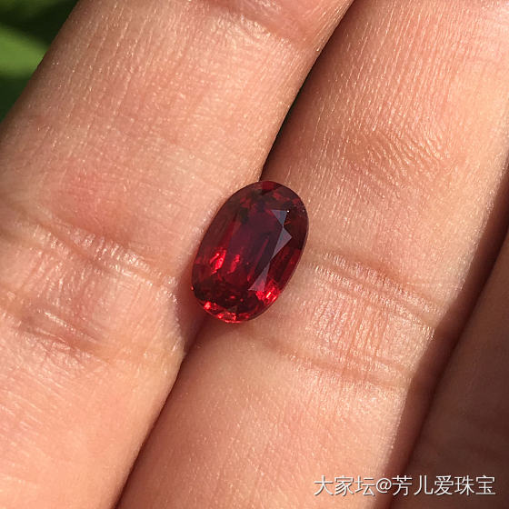 玻璃体和奶提，大家更能接受哪一种_红宝石
