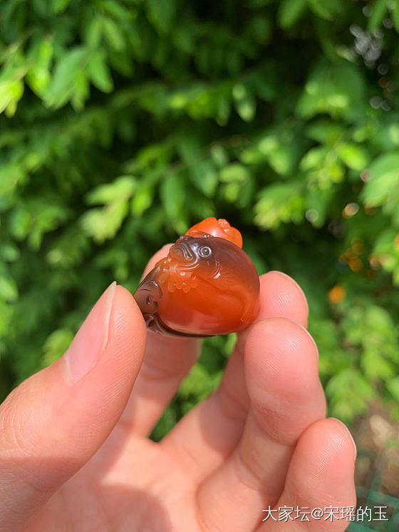 分享一只在阳光下散发着无限魅力的小童子哇😍_挂件南红