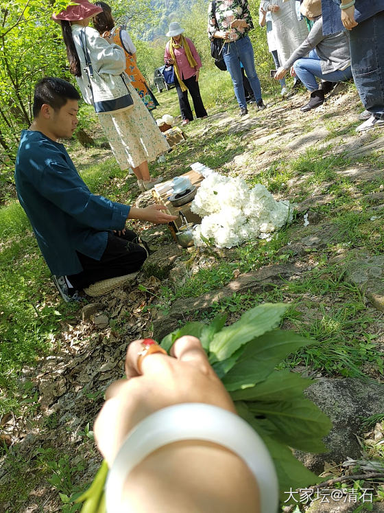 野生茶园里的茶事儿[耶][耶][耶]_茶道