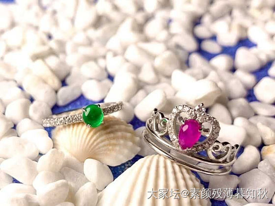 我感觉我就要被拉回坑里去了_舒俱来
