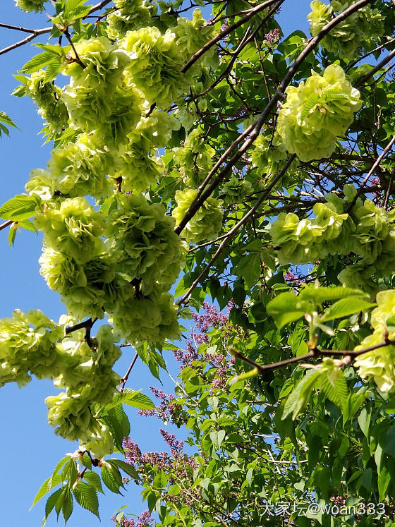 散步🚶_植物