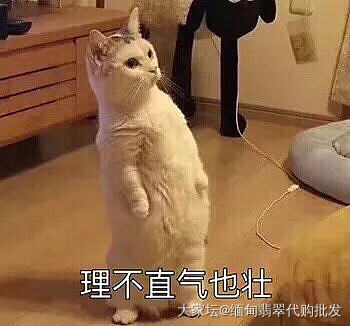 世上哪有便宜又阳绿的手镯