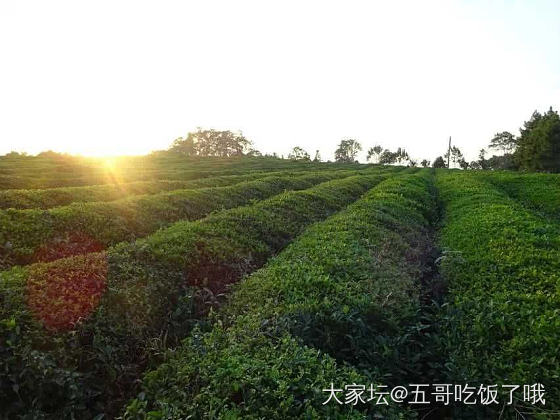 大家老家有什么特产。_美食