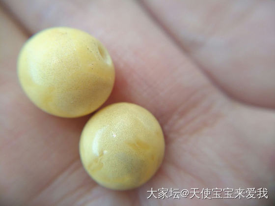小白向蜜蜡大佬请教_蜜蜡琥珀蜜蜡
