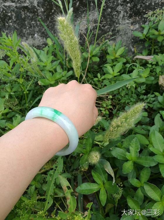 鱼儿🐠钓起来，狗尾巴草撸起来😂_手镯翡翠