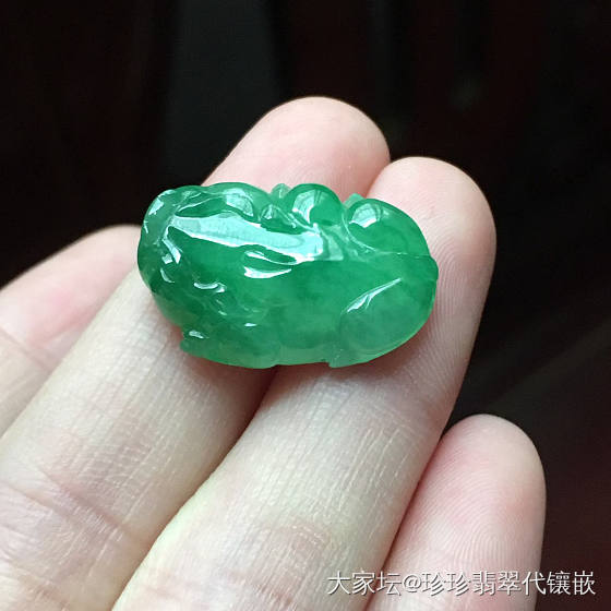 好大的一只貔貅_翡翠