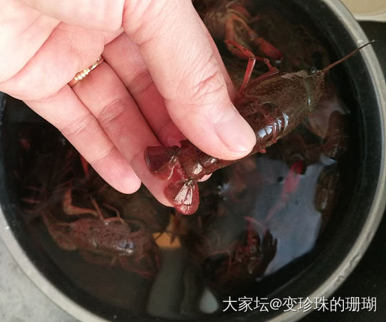 小龙虾快速抽虾线_食材