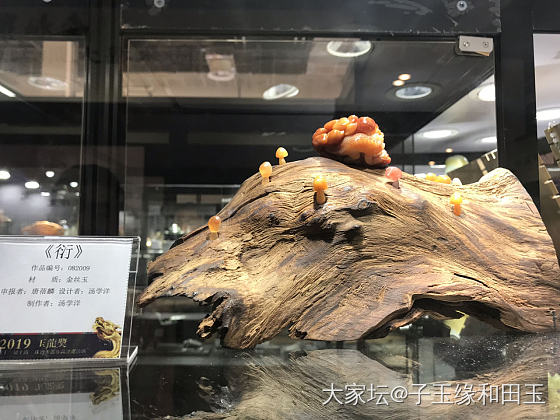 子玉缘2019玉龙奖参展作品《衍》_玉工