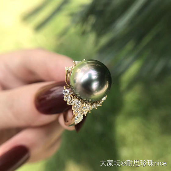 每日一赏_珍珠