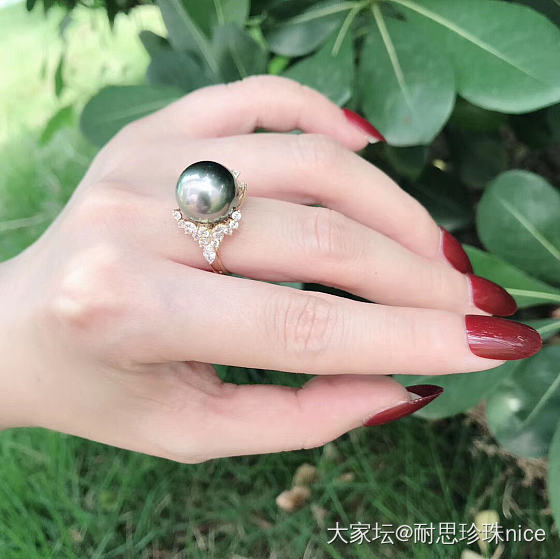 每日一赏_珍珠