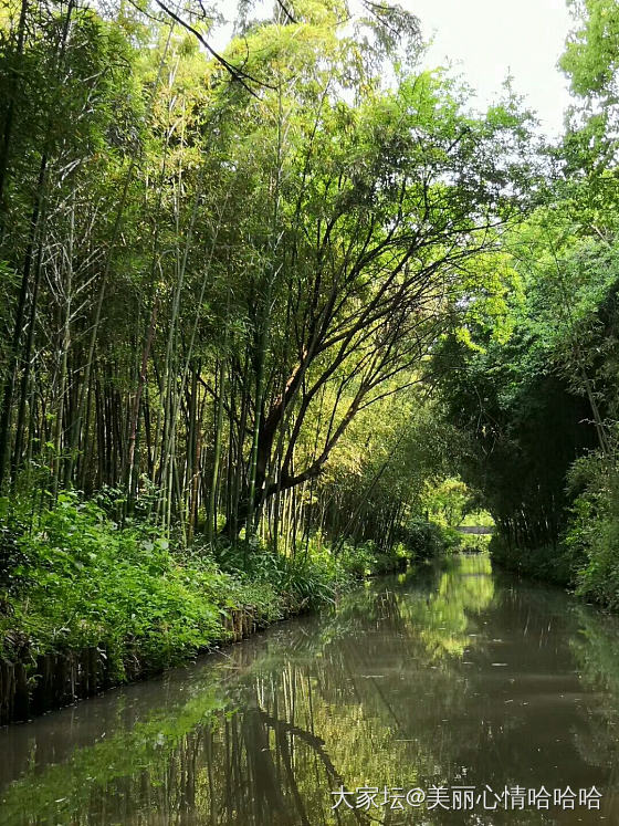 同里湿地_苏州旅游