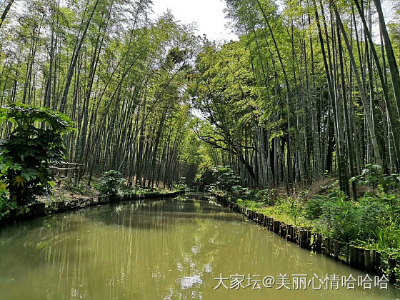 同里湿地_苏州旅游