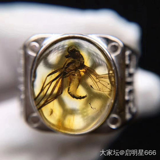 看看这个虫珀戒指，是天然的吗？_戒指虫珀