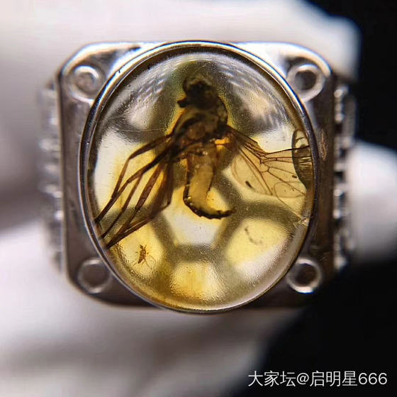 看看这个虫珀戒指，是天然的吗？_戒指虫珀