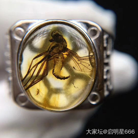 看看这个虫珀戒指，是天然的吗？_戒指虫珀