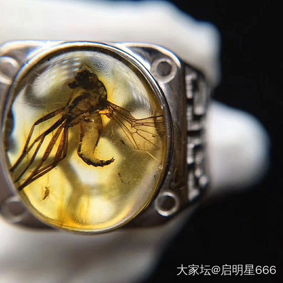 看看这个虫珀戒指，是天然的吗？_戒指虫珀