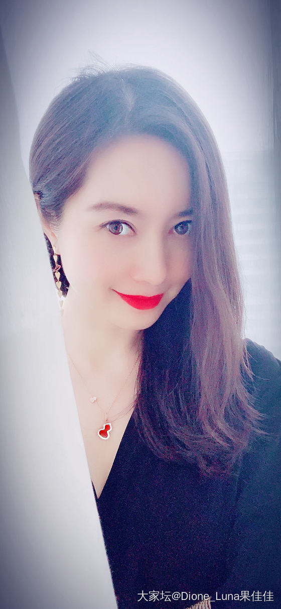红玉髓葫芦Wulu项链_首饰