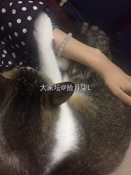六一节的礼物_白玉手镯