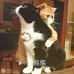 有谁知道惊喜大红包的触发条件？_天猫
